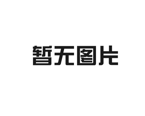 弧川藏盲点步行砖模具